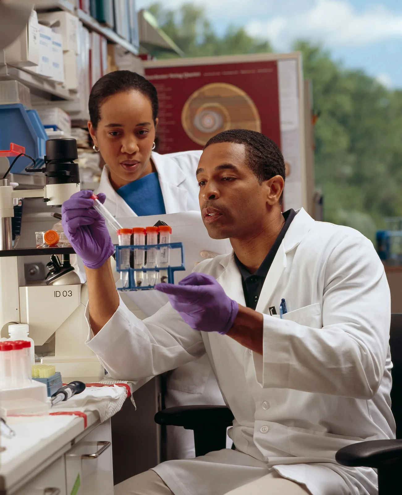 Blood collection tubes being checked in a laboratory