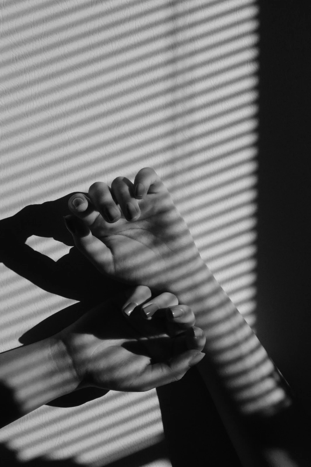 Hands in afternoon light through a blind